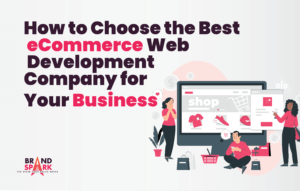 How to Choose the Best eCommerce Web Development Company for Your Business?